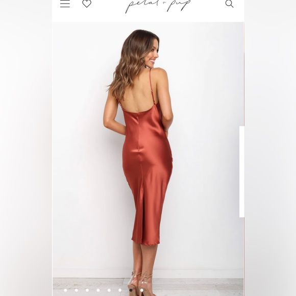 Petal & Pup Persia Dress in Rust - Picture 7 of 7